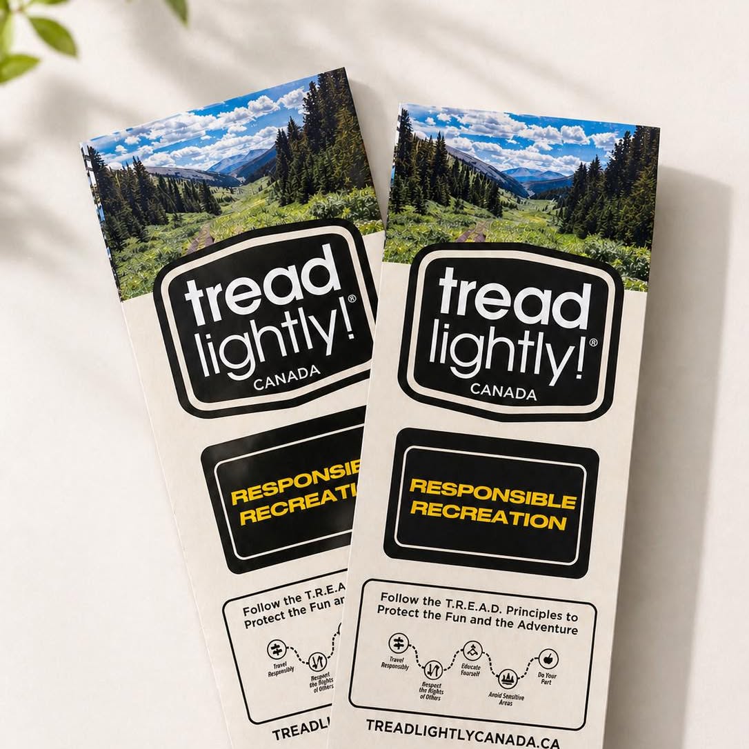 Printed Tread Lightly rack cards